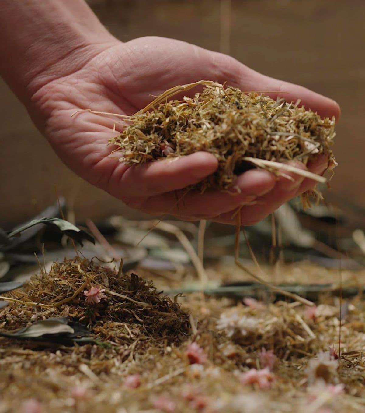 Een hand houdt stro en plantaardig materiaal vast, gebruikt in de terramatie-cocon.